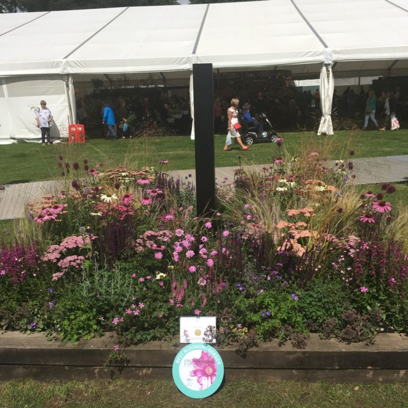 Reaseheath Lecturer Achieves Coveted Gold Medal At Rhs Tatton Park Reaseheath College - Premium Gradient Background Gallery - Desktop