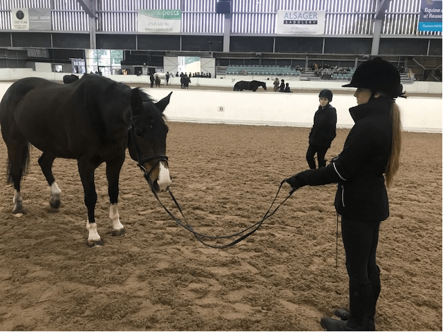Coaching The Coaches In Equitation Science Reaseheath College - Perfect Desktop Landscape Wallpapers | Free Download