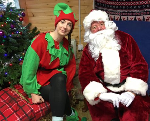 Christmas Market And Zoo Grotto Bring Reaseheath Festive Cheer - HD Nature Illustrations for Desktop