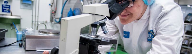 Study Food Technology At Reaseheath College Reaseheath College - Incredible 8K Sunset Textures | Free Download