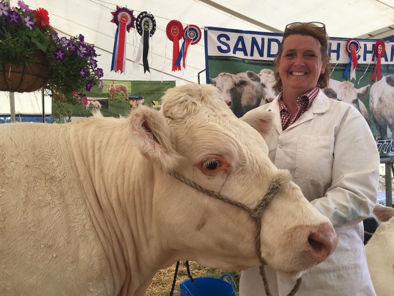 Four Great Reasons For Celebration At The Nantwich Show Reaseheath - Best Mountain Patterns in High Resolution