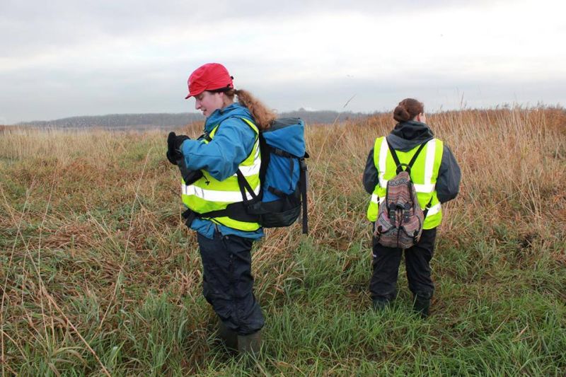 Mammal Society 1 Reaseheath College - Geometric Backgrounds - Beautiful 8K Collection
