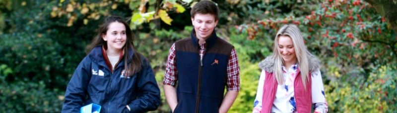 Reaseheath College Praised By Ofsted For Preparing Students For Work - Minimal Pattern Collection - Ultra HD Quality