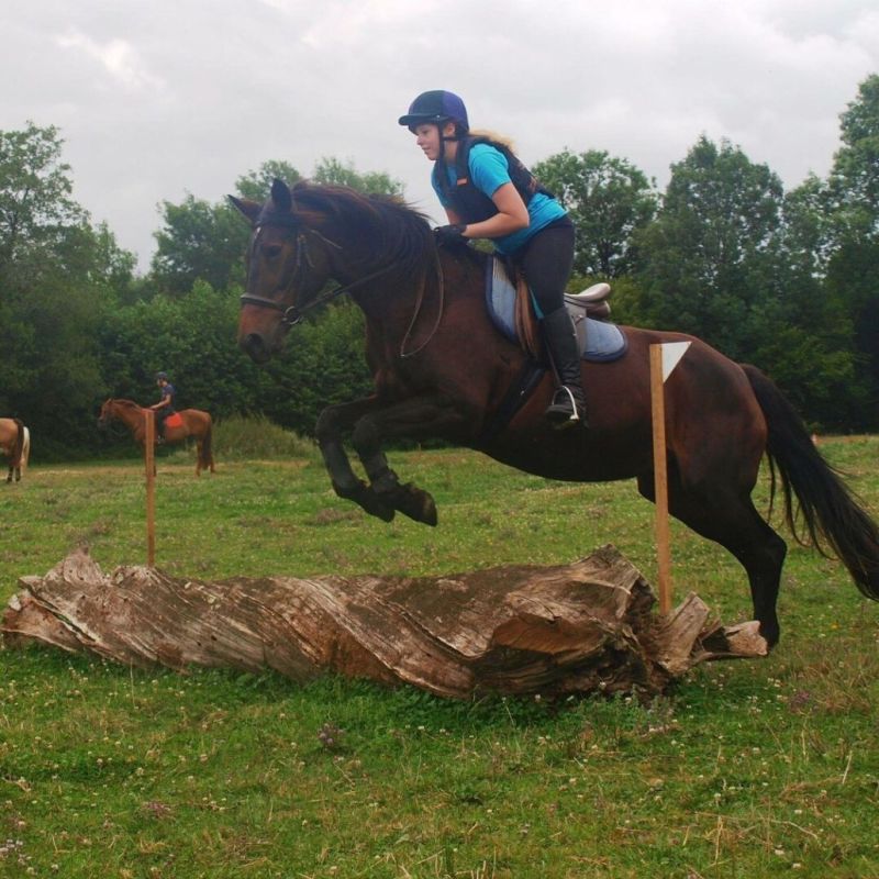 Student Riding Horse Reaseheath College - Vintage Images - Artistic High Resolution Collection