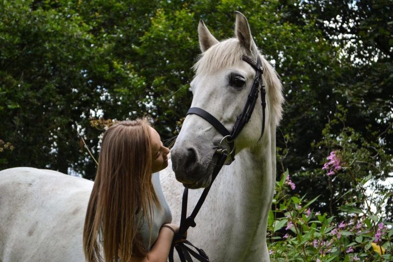 Horse 2 Reaseheath College - Colorful Patterns - Classic High Resolution Collection