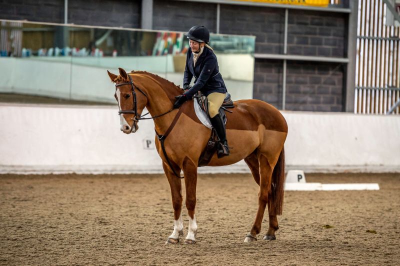 Unaffiliated Dressage Reaseheath Equestrian Centre - Ultra HD Landscape Images for Desktop