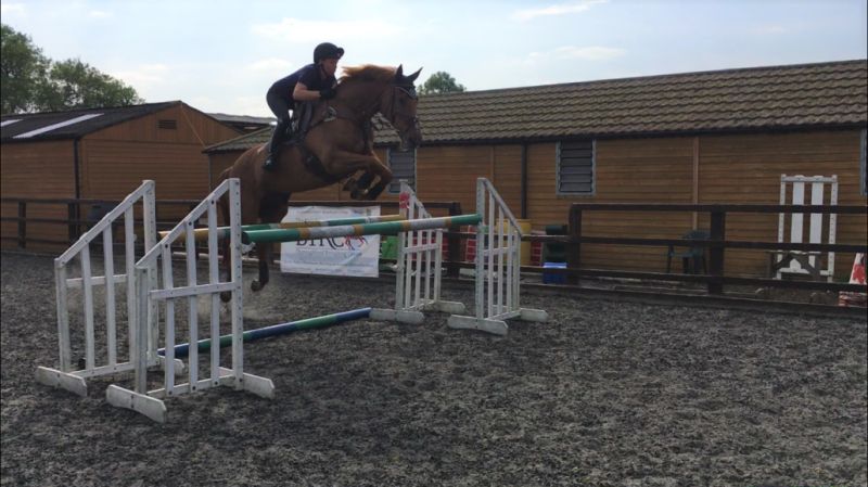 Reaseheath Equestrian Centre Competitions And Events Reaseheath College - Vintage Wallpapers - Modern High Resolution Collection