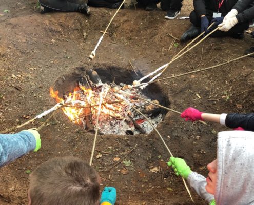 Forest College Reaseheath College - Download Gorgeous Landscape Wallpaper | 8K
