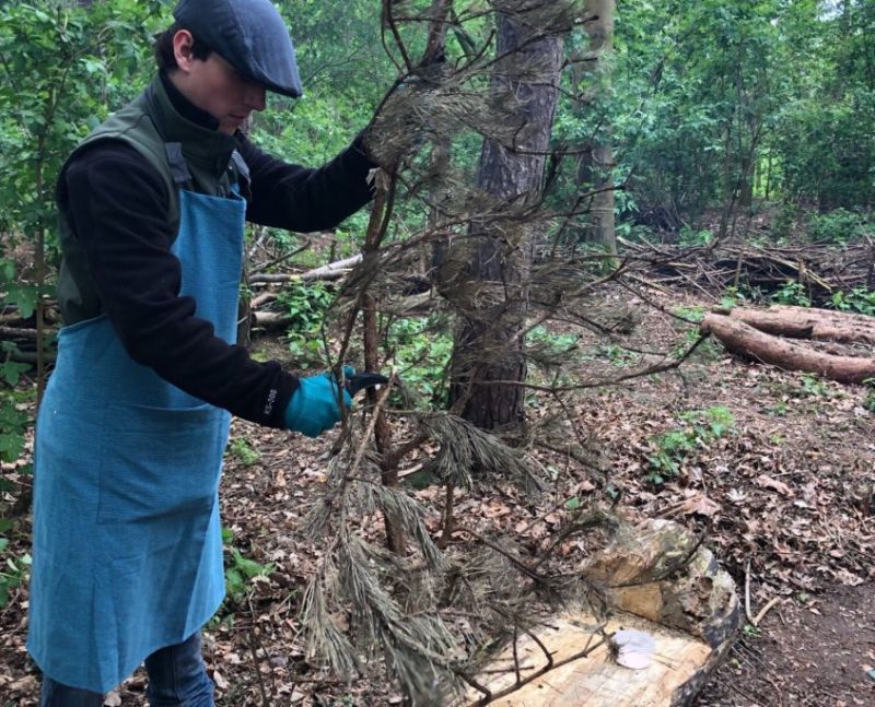 Forest College Reaseheath College - Premium City Photo Gallery - 8K