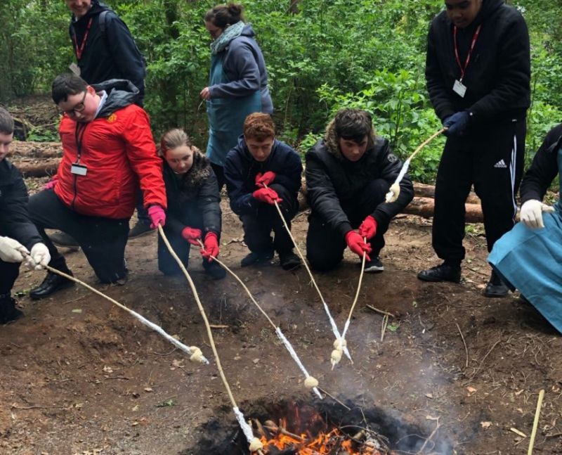 Reaseheath Forest College Reaseheath College - Premium Vintage Background - Desktop
