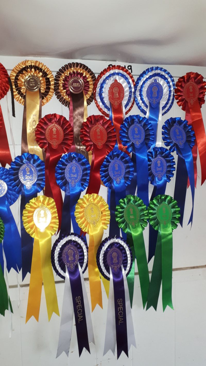 Cheshire Show 2019 26 Reaseheath College - City Picture Collection - 8K Quality