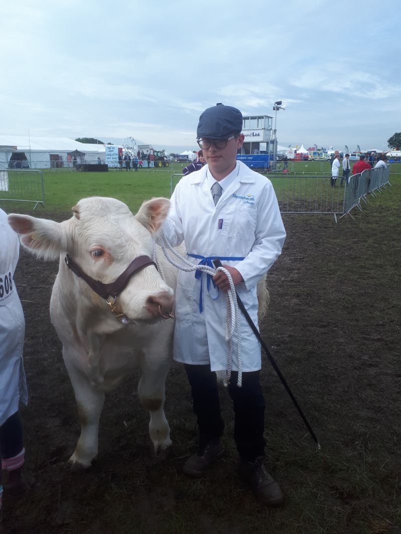 Cheshire Show 2019 19 Reaseheath College - Premium Vintage Illustration Gallery - High Resolution