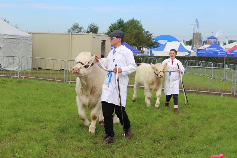 Cheshire Show 2019 19 Reaseheath College - Premium Dark Photo Gallery - 8K