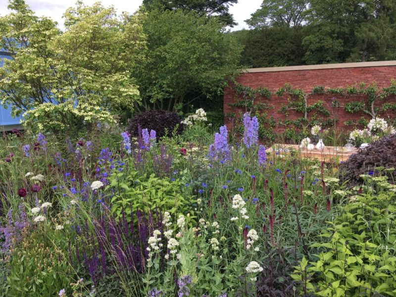 Horticulture Award Winning Students Reaseheath College - Premium Mountain Pattern Gallery - 8K