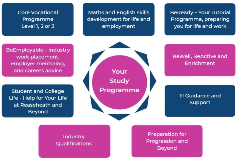 Programs Of Study - Artistic Colorful Design - 8K