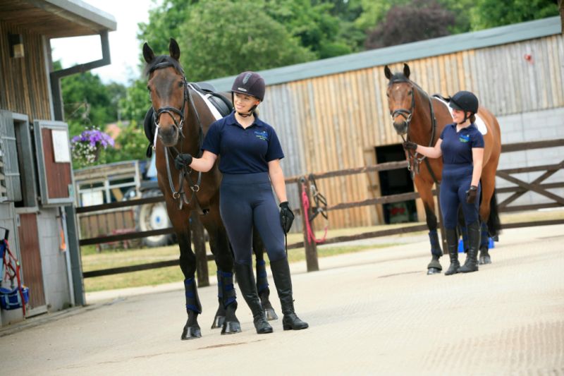 Academy Of Animal Equine Veterinary Nursing At Reaseheath College - Desktop Vintage Backgrounds for Desktop