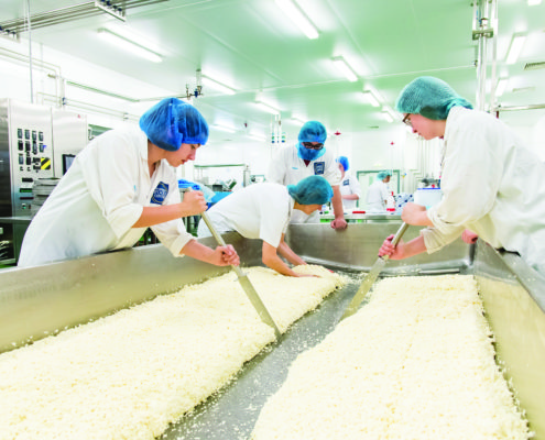 Food Courses For Adult Learners Reaseheath College - Ocean Design Collection - 4K Quality