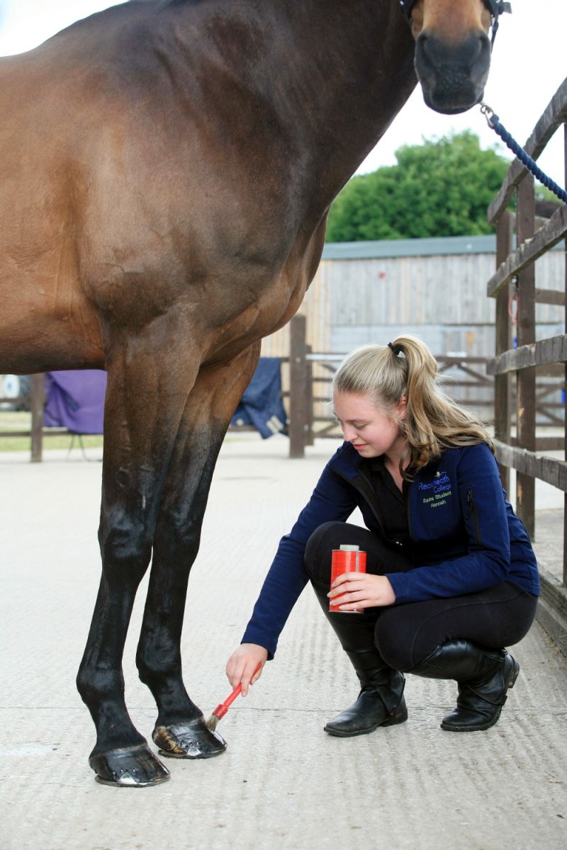Equine Livery Indoor Arena Reaseheath College - Nature Designs - Modern Retina Collection