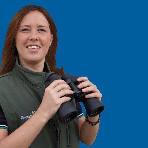 Gcse English Reaseheath College - Stunning Gradient Pattern - Mobile