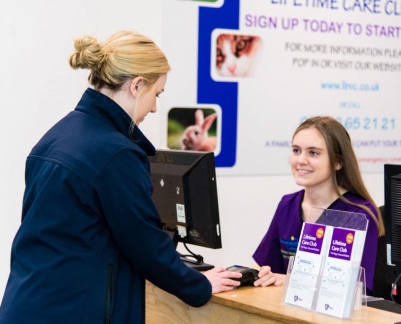 Reaseheath College Meet One Of Our Veterinary Nursing Students Rachel - Dark Pattern Collection - 4K Quality