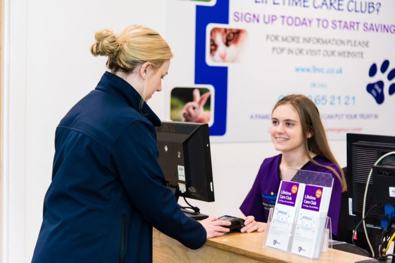 Veterinary Nursing Reaseheath College - Artistic Desktop Abstract Pictures | Free Download