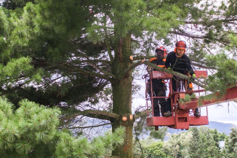 Reaseheath Business Hub Helps Businesses To Rebuild Reaseheath Business Hub - Premium Abstract Pattern Gallery - HD