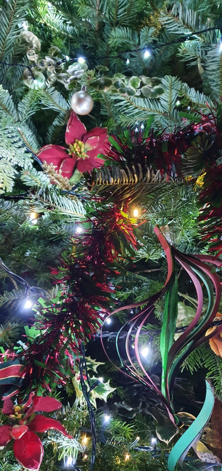 Arley Hall Christmas Tree Decorating Dec 2020 1 Reaseheath College - Abstract Background Collection - Desktop Quality