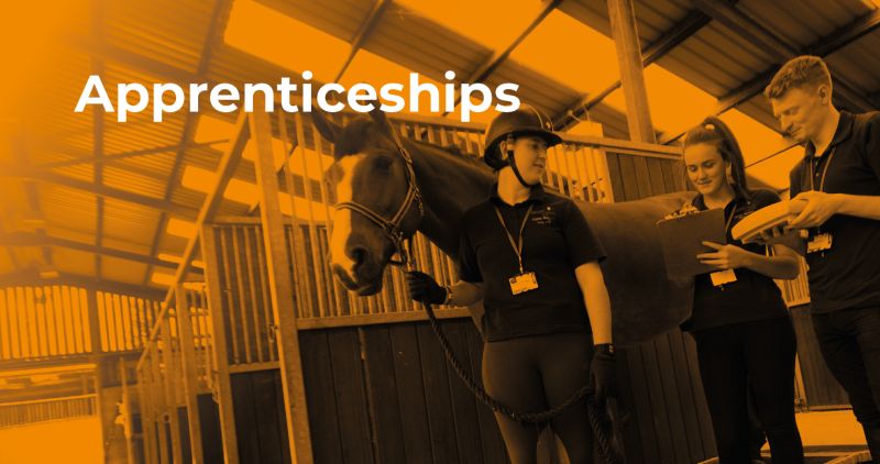 Reaseheath College On Linkedin Naw2024 Apprenticeships Skillsforlife - Best Space Images in 4K