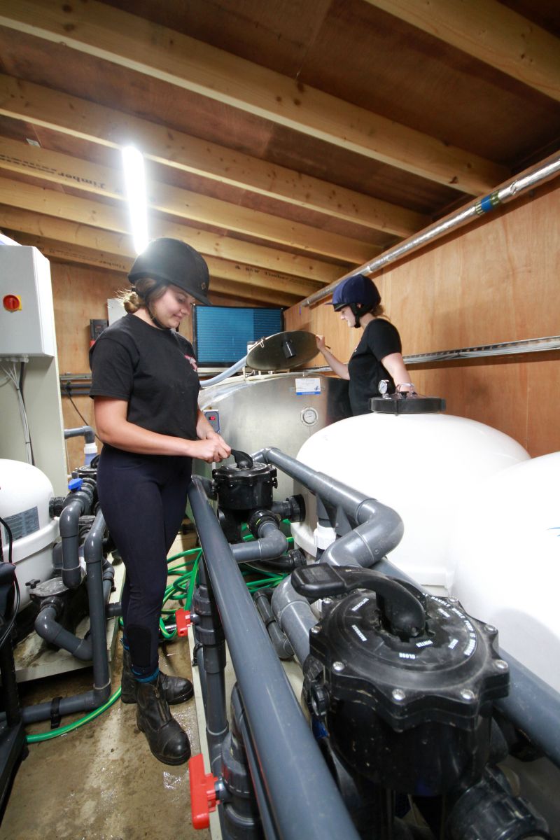 Unique Equine Hydrotherapy Course From Reaseheath College And Rookery Equine Reaseheath College - Best Dark Photos in 4K