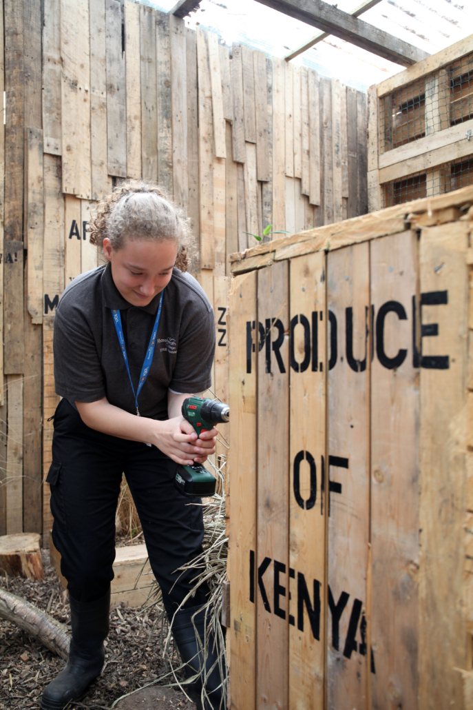 Mongooses Training Reaseheath College - Gorgeous HD Colorful Pictures | Free Download