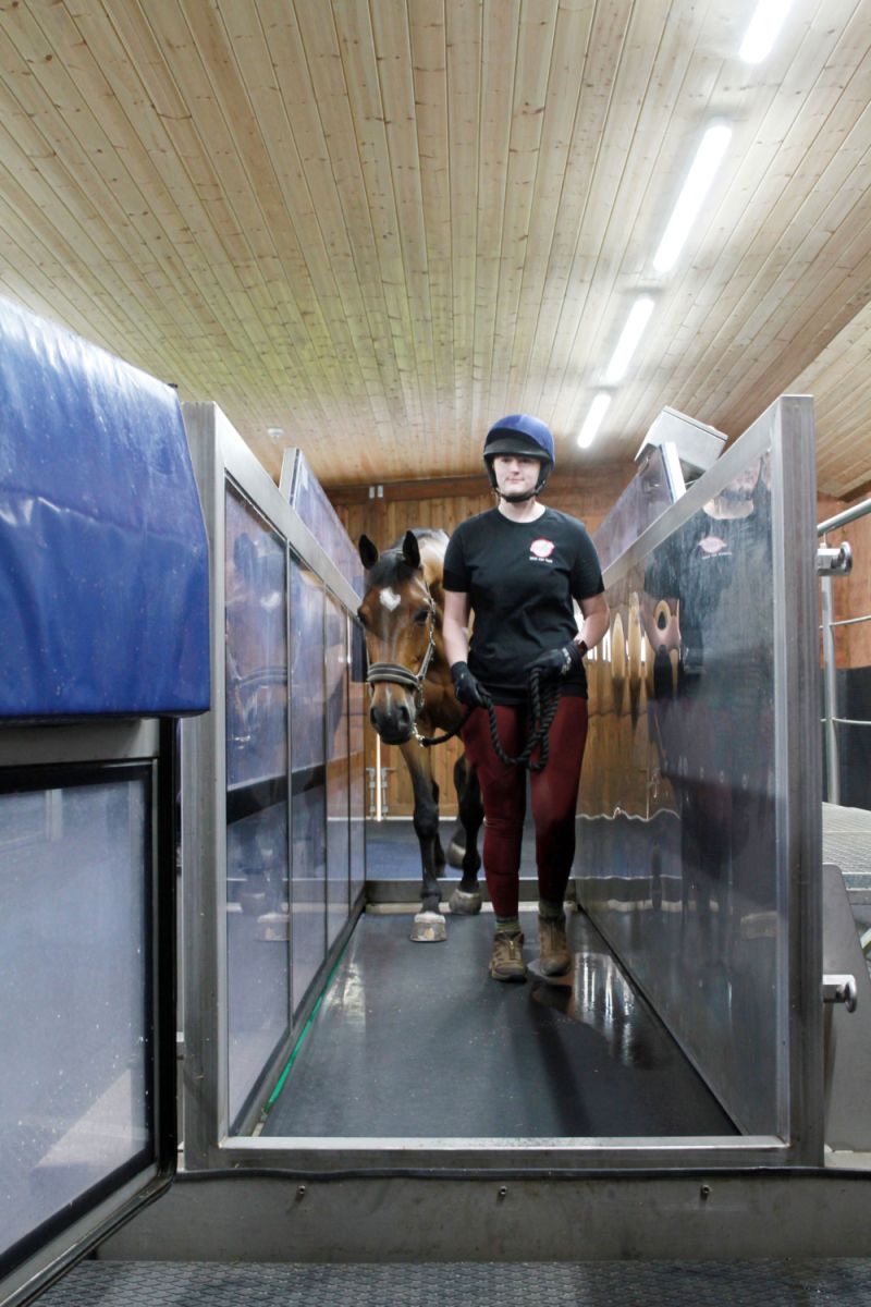 Equine Hydrotherapy Assistants L3 Diploma Reaseheath College - Download Classic Dark Wallpaper | Ultra HD