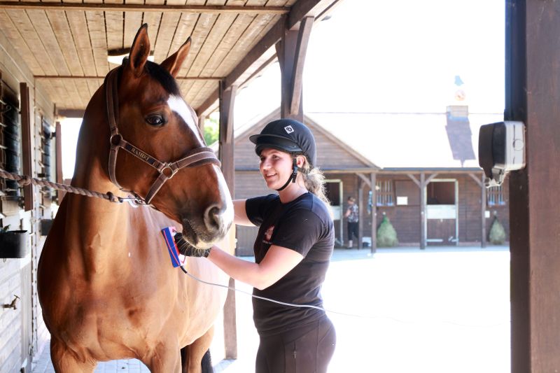 Reaseheath College On Linkedin Wearereaseheath Equine - Geometric Texture Collection - Ultra HD Quality