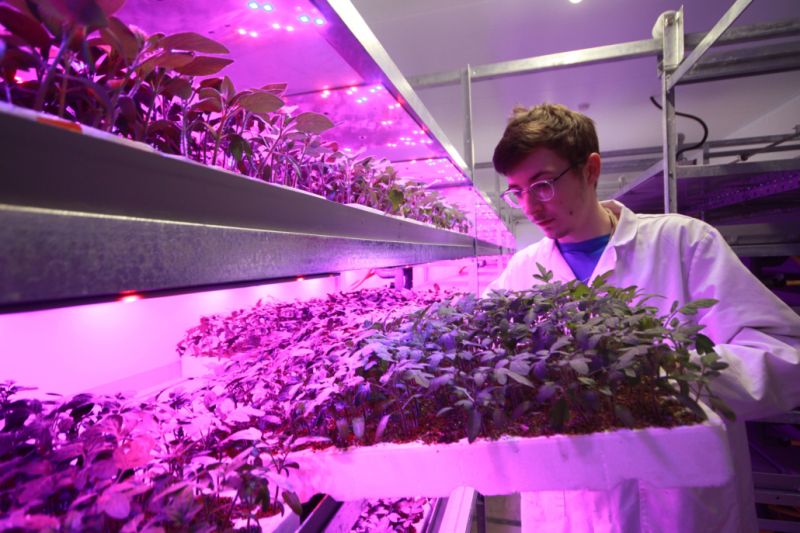 Campus Investment Reaseheath College - Space Texture Collection - Desktop Quality