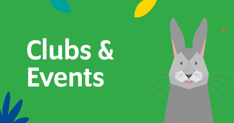 Mini Zoo Website Buttons3 Reaseheath College - Best Light Textures in HD