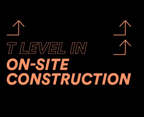 T Levels Courses We Offer Reaseheath College - Ultra HD Mountain Illustration - Desktop