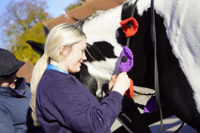 Reaseheath Remembers 2021 An Man Carrier Pigeon Reaseheath College - Minimal Textures - Professional Retina Collection