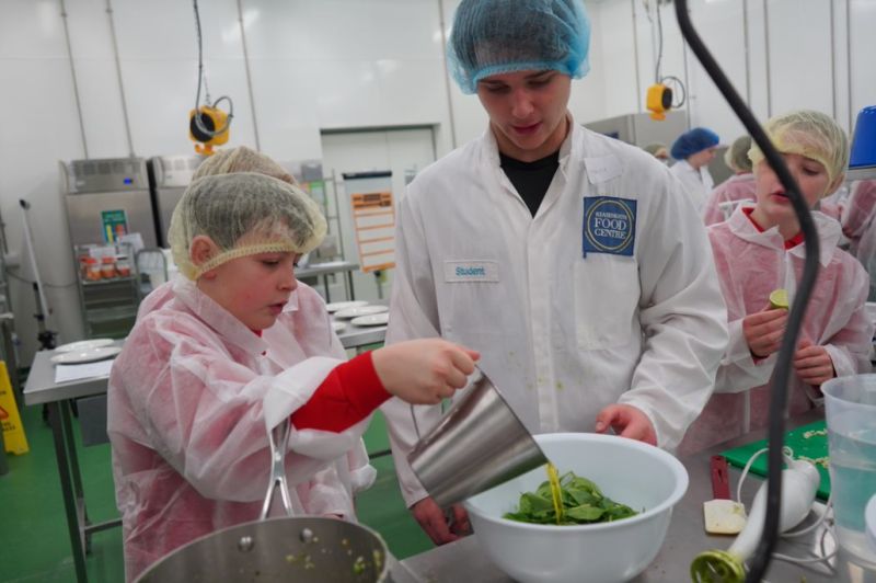 Pupils Create Healthy Meal As Part Of Field To Fork Project Reaseheath College - Creative Retina Landscape Textures | Free Download
