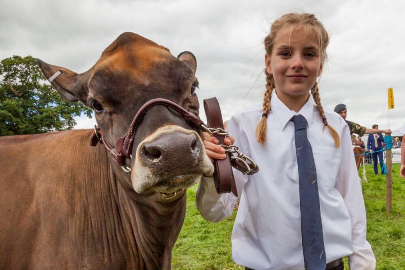 Reaseheath College Equine Students Treated To Christmas Show Nantwich - Creative Geometric Pattern - Desktop