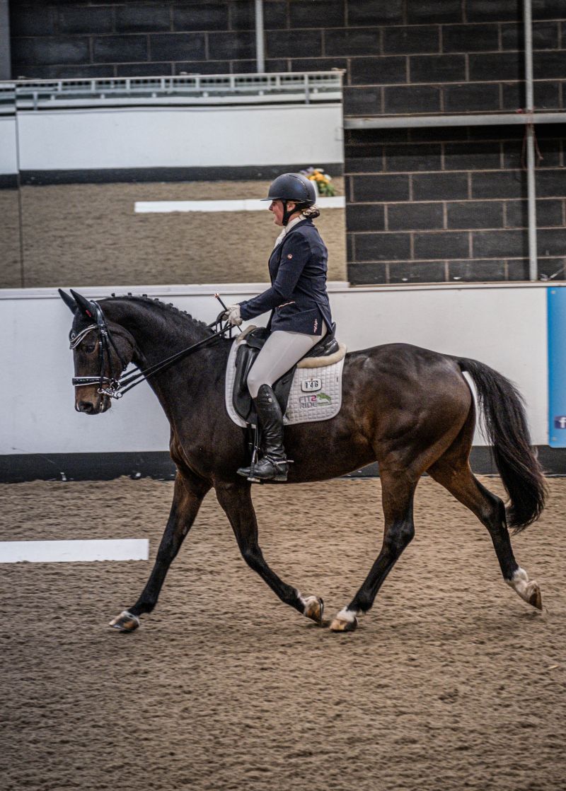 Dressage 1 1 Reaseheath College - Ultra HD HD Light Images | Free Download