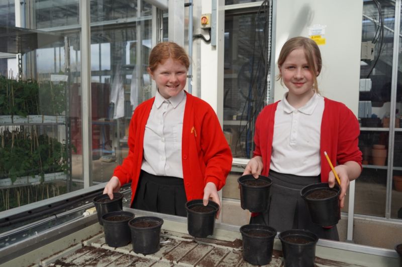 Pupils Create Second Healthy Field To Fork Meal Reaseheath College - Best Dark Backgrounds in Mobile