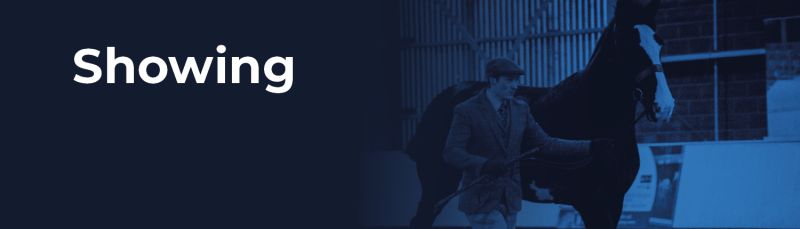 Riding Reaseheath College - Modern High Resolution Abstract Wallpapers | Free Download