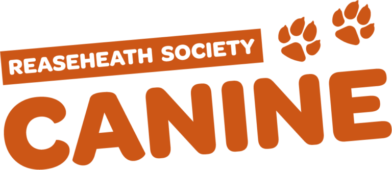 Puppies Receive First Life Lessons At Reaseheath College Reaseheath - Gorgeous Ocean Art - 8K