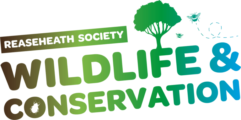 Student Societies Reaseheath College - Download Classic Mountain Pattern | 8K