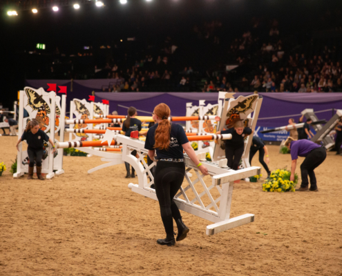 Reaseheath College Students Prove A Hit At Horse Of The Year Show - High Quality Gradient Picture - 8K