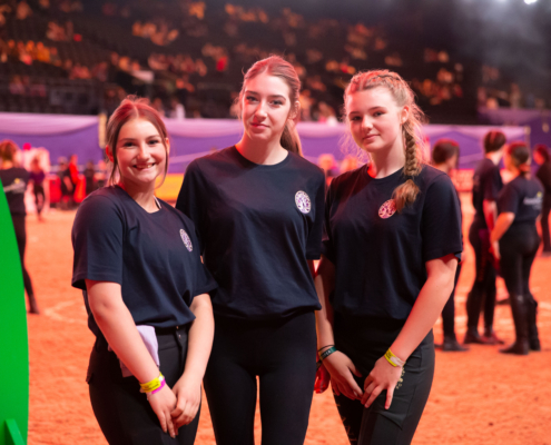 Reaseheath College Students Prove A Hit At Horse Of The Year Show - Gradient Backgrounds - Gorgeous HD Collection