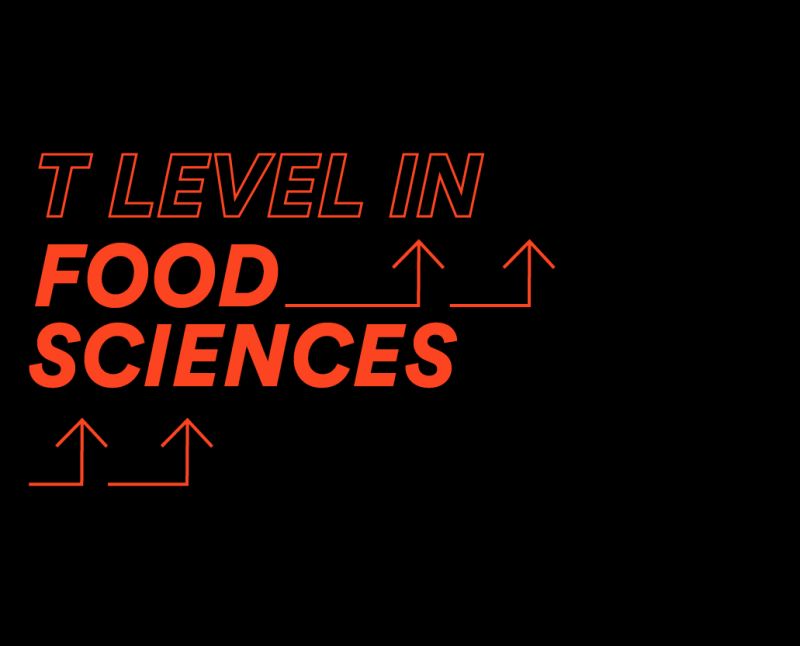 T Levels Courses We Offer Reaseheath College - Best Geometric Illustrations in Mobile