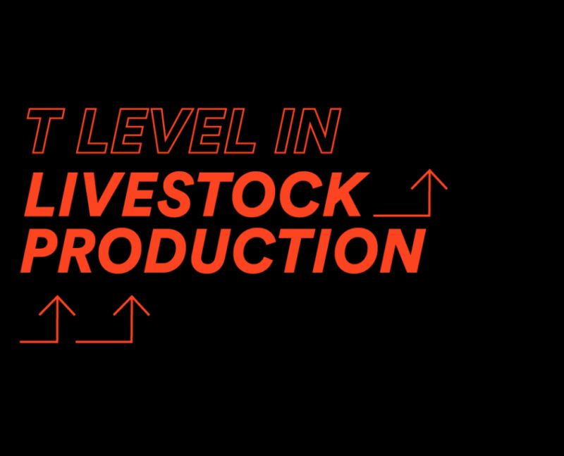 What Construction T Levels Does Reaseheath Offer Youtube - Mobile Dark Images for Desktop