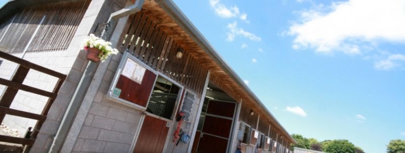 Reaseheath Equestrian Centre Membership Reaseheath College - Premium Minimal Wallpaper Gallery - HD