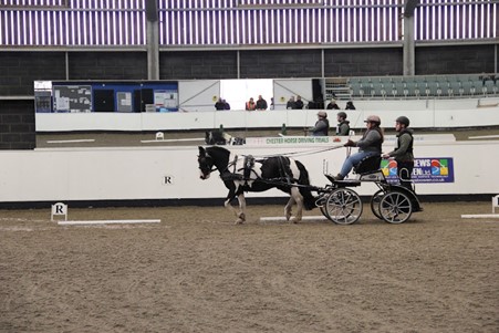 Facility Hire Equestrian Centre Reaseheath College - Download Perfect Nature Design | HD