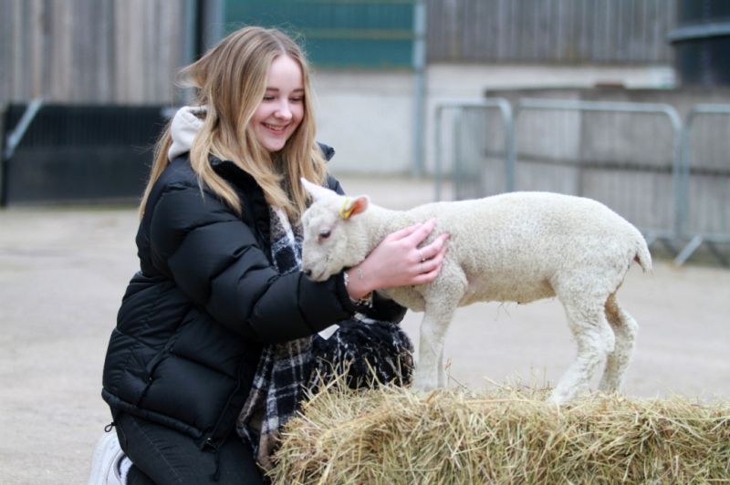 Reaseheath College The Complete Guide 2024 - Download Artistic Ocean Design | Full HD